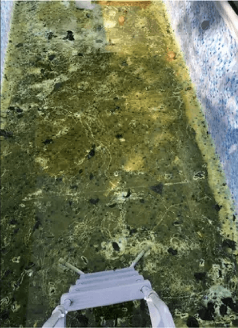 Before - Floor Cleaning Before and After